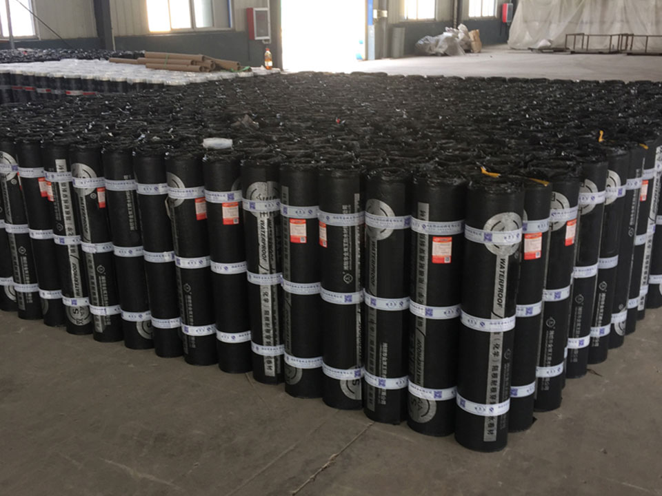 SBS/APP化學阻根耐根穿刺防水卷材